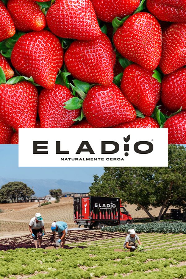 Frutas y Verduras Eladio comienza la temporada de otoño expandiendo la producción de su línea gourmet ‘Calma Eladio’