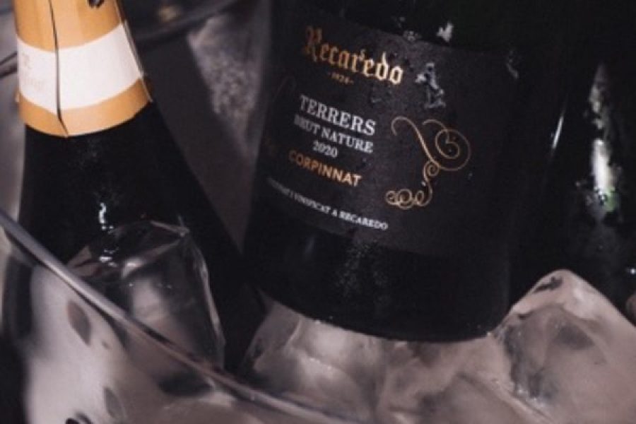 La primera edición de BUBBLES FEST by INVINIC supera todas las expectativas