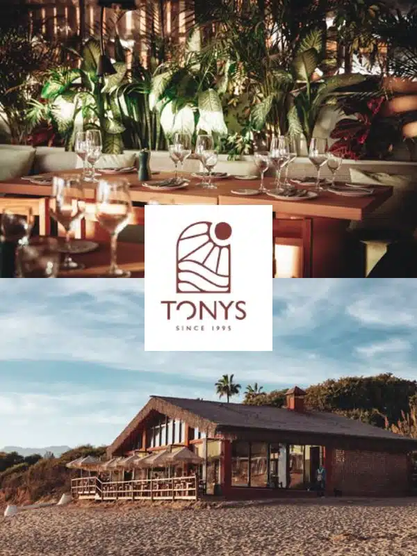 NDP-TONNYS